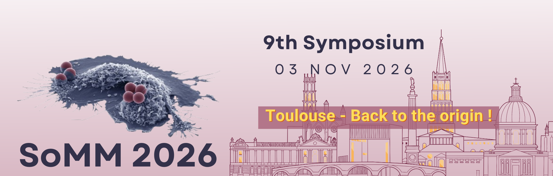 9th SYMPOSIUM OF THE FRENCH NETWORK ON MONOCYTE-MACROPHAGE>